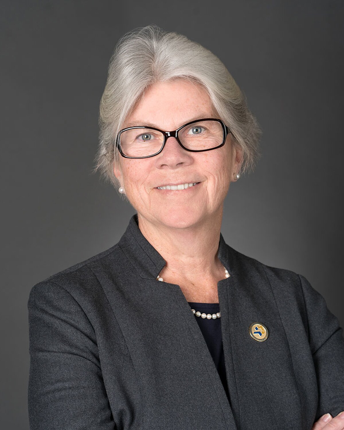 Official portrait of Alice Hanlon Peisch, Massachusetts State Representative for the 14th Norfolk District.