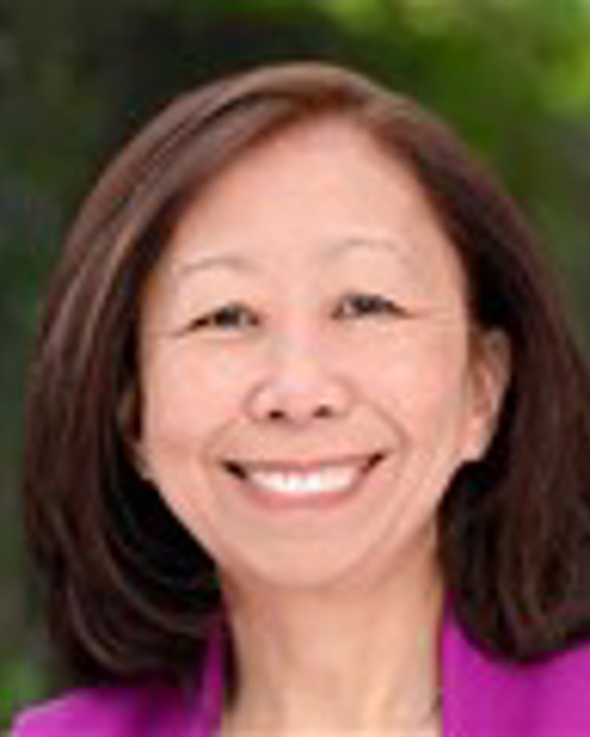 Official portrait of Amy Mah Sangiolo, Massachusetts State Representative for the 11th Middlesex District.